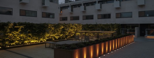 A picture of the community garden in Gabriel Square featuring illuminated shrubbery and plant boxes with INGROUND uplighters