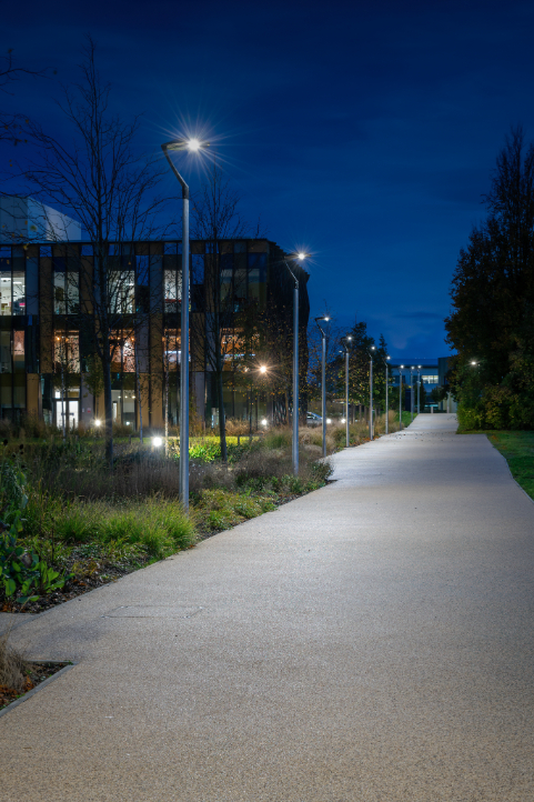 Harwell Campus pathways at dusk