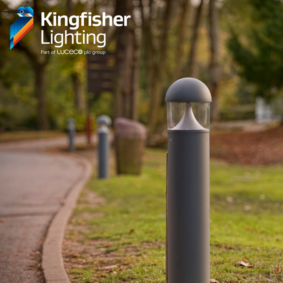 Kingfisher Lighting Season